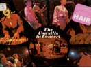 The Cowsills          3-LP's          NM or as described