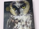 -RARE 2015 LIMITED LOW ONES AND SIXES YELLOW MARBLED ALT COVER x2LP VINYL-