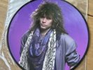 Bon Jovi Slippery When Wet Picture Disc EX Condition