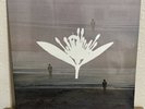 Copeland - Ixora Twin Vinyl LP White New, Sealed