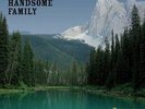 The Handsome Family - Through The Trees: 20th Anniversary Edition [New Vinyl LP]