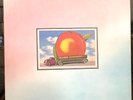 TESTED:  The Allman Brothers Band – Eat a Peach 1972 Southern Rock LP - VG+/EX