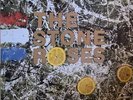 Stone Roses by The Stone Roses LP RED VINYL Album - Excellent Silvertone Records