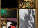 SONIC YOUTH - SISTER NEW VINYL