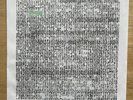 Ty Segall Ty Rex 7” Vinyl Record RSD Garage Rock Brand New Fuzz Thee Oh Sees