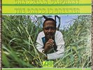 Grassella Oliphant - The Grass Is Greener - 1967 Atlantic 1494-MONO LP Vinyl  NM