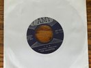 The Haunted 1-2-5 Amy repro garage BFTG pebbles