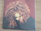 Janet  Jackson - The Velvet Rope Vinyl LP x 2