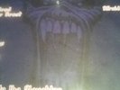IRON MAIDEN  VINYL