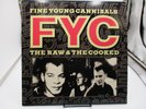 Fine Young Cannibals 