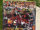 Yeah Yeah Yeahs - Fever To Tell Vinyl LP, 2017 Reissue Remastered NM