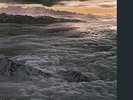 SANTANA MOONFLOWER NEW LP