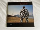 Pink Floyd - Delicate Sound of Thunder Vinyl LP