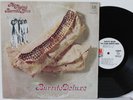 FLYING BURRITO BROS “Burrito Deluxe