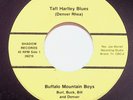 Bristol TN Buffalo Mountain Boys Hillbilly Bluegrass Country Vinyl 45 Record