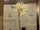 DAUGHTER Stereo Mind Game LP  500 ONLY ECO-VINYL + SIGNED LP SIZE PRINT,BONUS CD