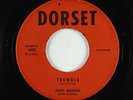 Surf Inst. 45 - Jerry Warren & the Tremblers - Tremble/Rompin - Dorset - mp3
