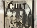 THE CULT MANIAX - BLITZ / LUCY LOOE - VERY GOOD++ / VERY GOOD