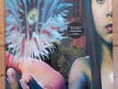THE FUTURE SOUND OF LONDON Lifeforms 2 x vinyl GATEFOLD SLEEVE 1994 pressing