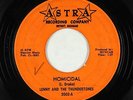 Rockabilly Surf Inst. 45 - Lenny & the Thundertones - Homicidal - Astra - mp3