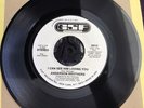 ANDERSON BROTHERS “I Can See Him Loving You” 7” Vinyl Record NORTHERN SOUL MUSIC