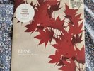 Keane - Somewhere Only We Know 7
