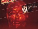 The Sweet Identity Crisis Polydor Vinyl LP