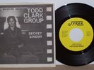 TODD CLARK GROUP Secret Sinema Rare Private PSYCH-PUNK 45 RPM & Picture Sleeve