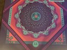 Grateful Dead - Cornell 5/8/77 - Vinyl 5LP Box Set *IN HAND - FACTORY SEALED*