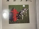 Rush - Signals SRM-1-4063 1st Pressing RARE TRANSLUCENT BLACK Vinyl LP VG+/VG+