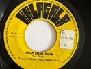 TERRY NELSON BUSTERS - Dream Dream Dream RARE SKINHEAD REGGAE GUYANA 45 Halagala