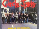 Circle Jerks - Wild In The Streets 2005 Reissue LP w/Insert Excellent Condition