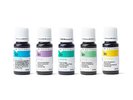 New In Essence The Four Seasons Survival Bundle