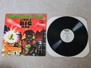 Bushwick Bill / Little Big Man 12