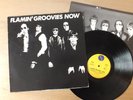 Flamin' Groovies - Now   GERMANY  ois   LP  Vinyl  vg+