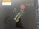 Alexandra Saviour - Belladonna of Sadness Red Vinyl Brand NEW and SEALED