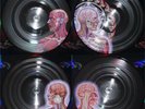 Lateralus by Tool (Record, 2005)
