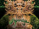 Shpongle - Codex VI Remastered - Vinyl LP X 3 Limited Edition New Sealed Rare