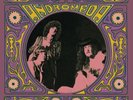 ANDROMEDA - 1969 ALBUM (EXPANDED ORIGINAL JOHN DU CANN MIX) (2 LP)