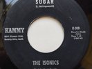 Isonics 