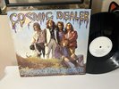 Cosmic Dealer   Crystallization   LP   Vinyl   Psych   Acid Archives