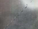 LP REGGAE / SOUL / DAVID KULIK / INSIDE OF YOU / SUNDARI