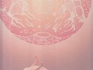 purity ring another eternity lp clear vinyl 4ad