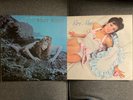 (2) Roxy Music The 1st Roxy Music Album/Siren Vinyl LP Record Lot
