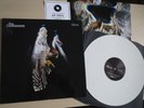 THE COURTEENERS - Falcon - White Vinyl, 2019 Record Store Day - Inc Lyric Insert