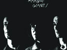 Young Marble Giants - Colossal Youth [New Vinyl LP]