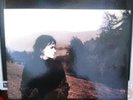 Mary Black - The Holy Ground LP   Mint 2014 pressing