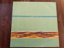 Speedy J - Ginger. 2LP Vinyl. Warp Records.