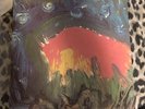 Meat Puppets - Meat Puppets II 1984 US First Press SST 019 NM RARE