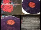 BLACKLISTED The Beat Goes On LP Purple Vinyl 1st Press 200-cold world staticlone
